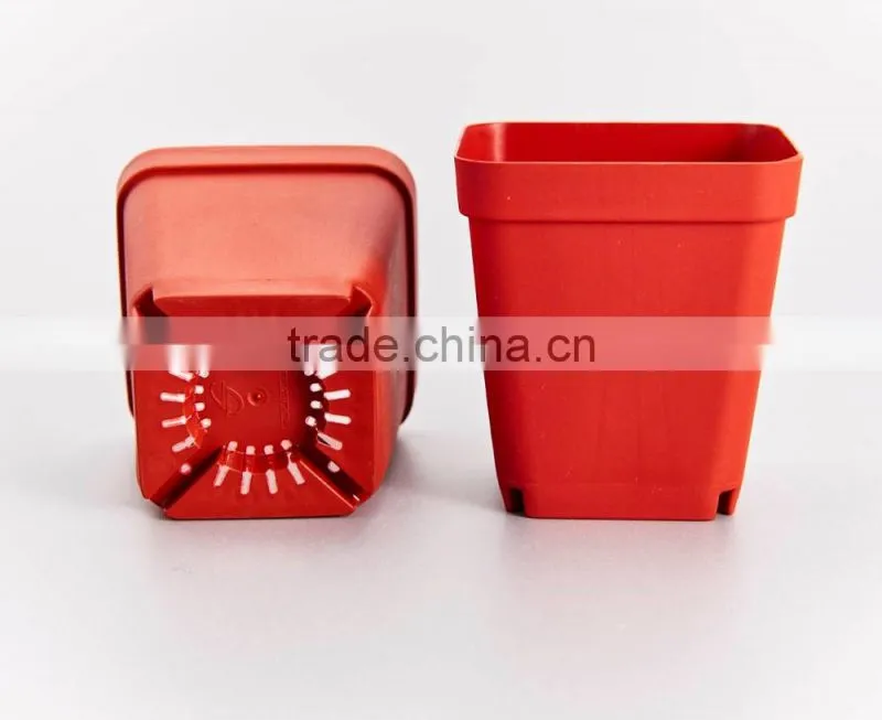 Flower Pot for succulent plant