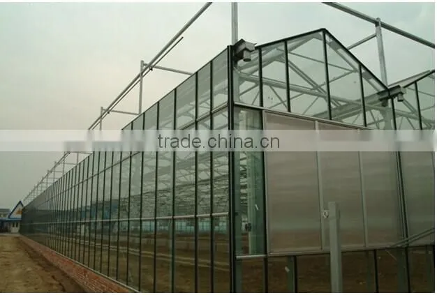 Film arch greenhouse for sale from big greenhouse manufacturer in China