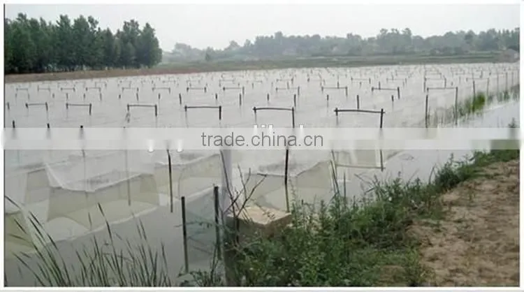 100% New HDPE agricultural anti insect net/anti-insect net with top quality and competitive price