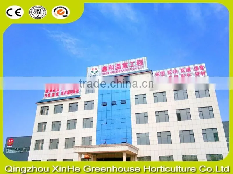Clear tempered glass for greenhouse with factory price and CCC CE ISO