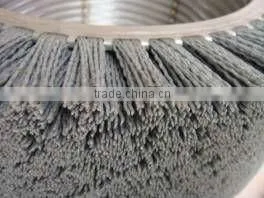 Nylon 612/PA612 /N612 Abrasive Filaments