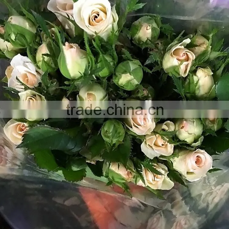 New OEM fresh rose flower