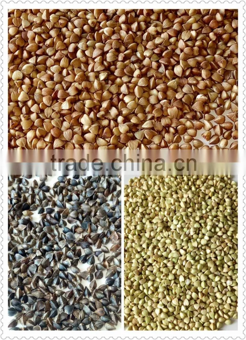 Common Cultivation Type Brown Color roasted buckwheat wholesale