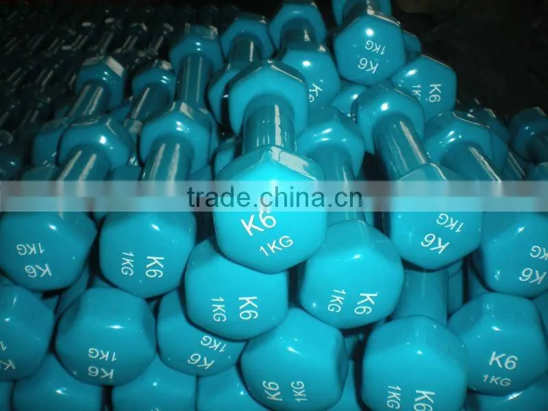 vinyl dipping hex dumbbell
