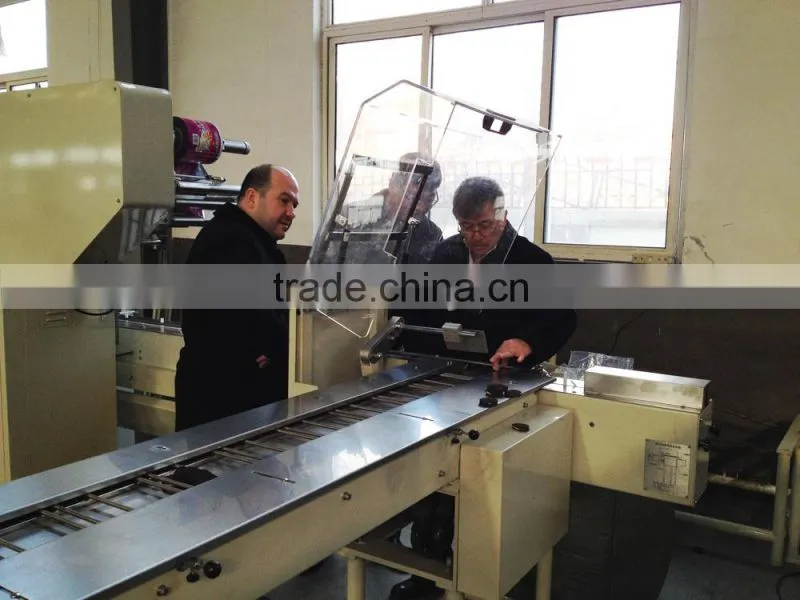 Biscuits on-edge packing machine
