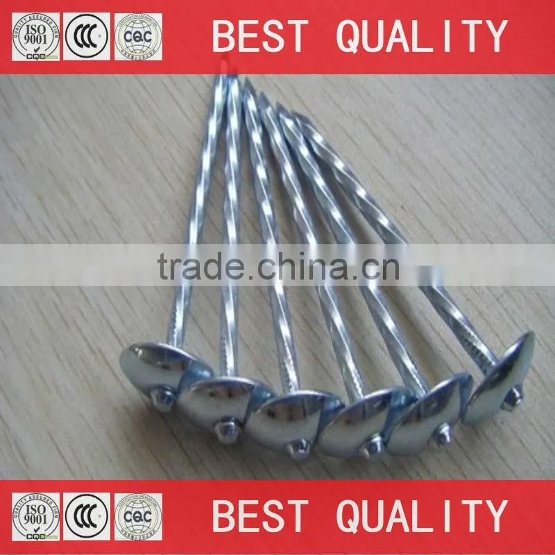 BWG8 iron roofing nail with umbrella head