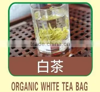 Organic white tea bag
