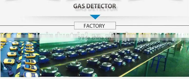 Digital gas analyzer