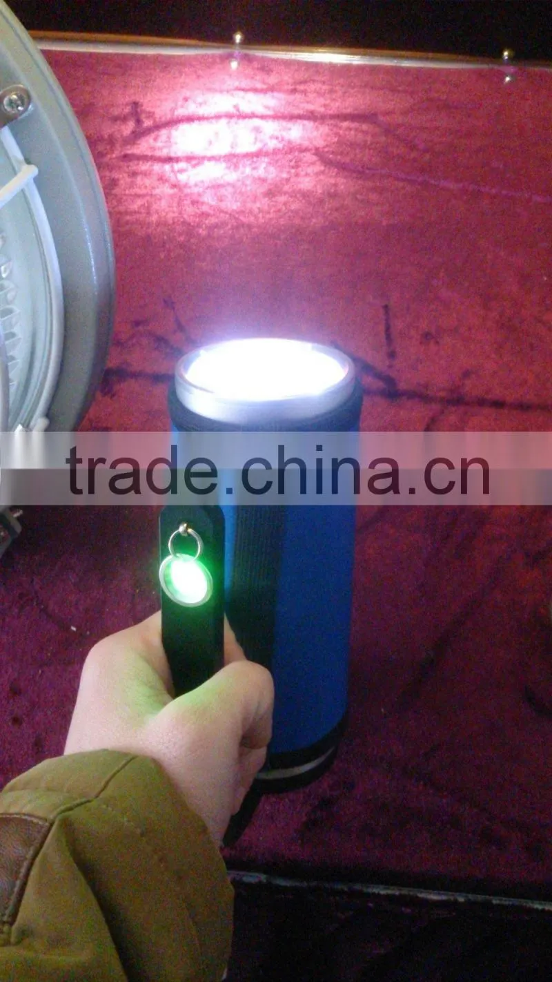 Portable rechargeable EX LED flashlight