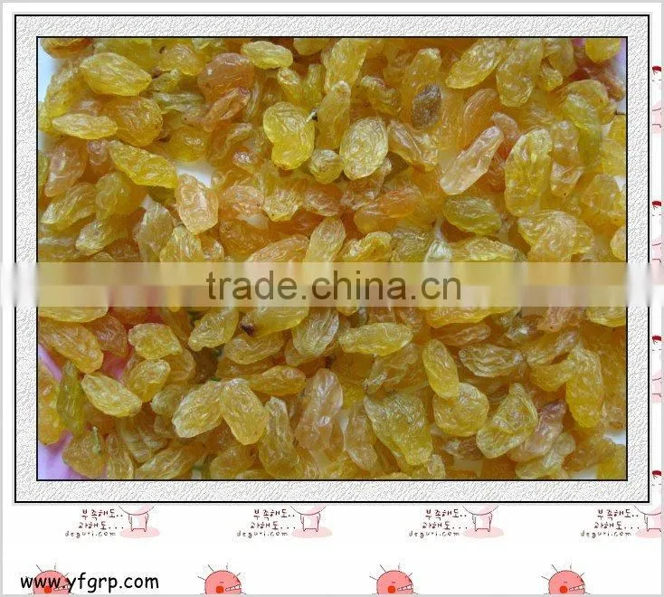 Dried fruit---Flame/Thompson/Sultana raisins ---HOT OFFERS