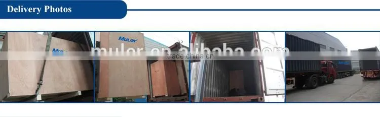 automatic servo motor sprayer machine for die casting machine