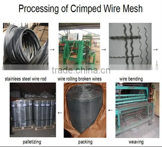 crimped wire mesh /wire mesh screen