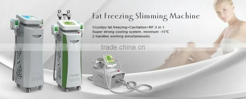 Super Slim Cryotherapy Cryo Lipo Fat Freezing Cryolipolisis Weight Loss Beauty Machine