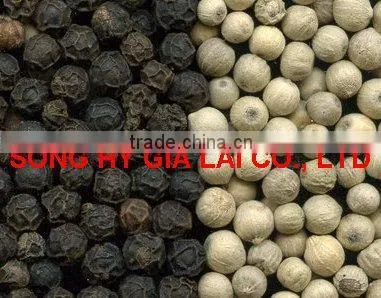 BLACK PEPPER 500GR/L CLEANED