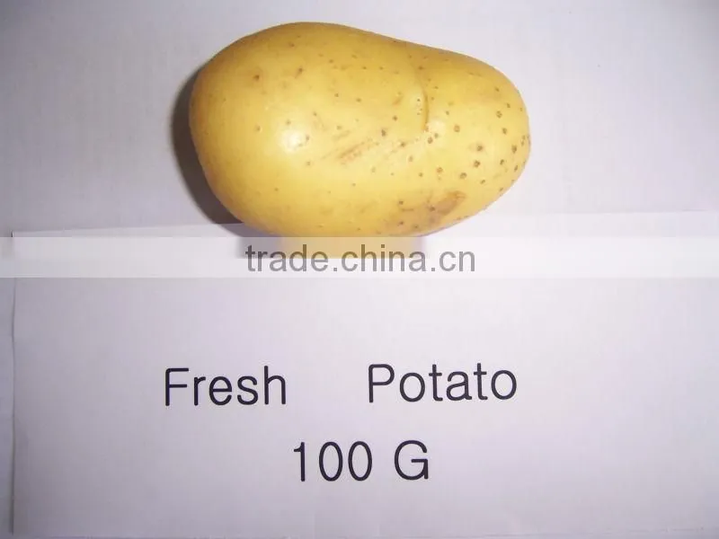 Holland Potato to Dubai Market for Sale