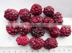 2016 Free Samples Freeze Dried Banana Factory Supply Low Price