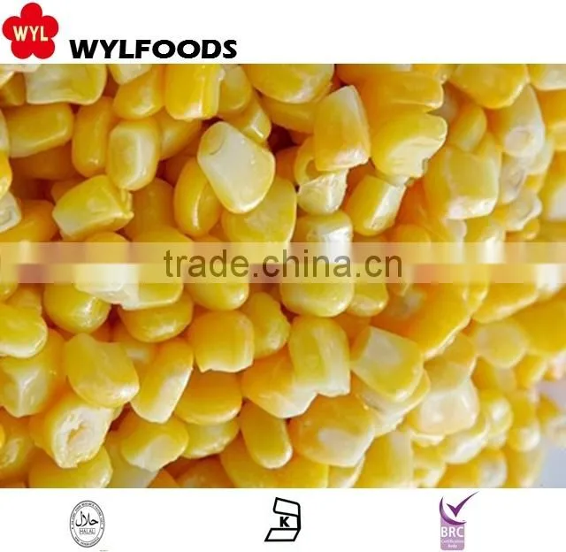 high quality iqf frozen sweet corn