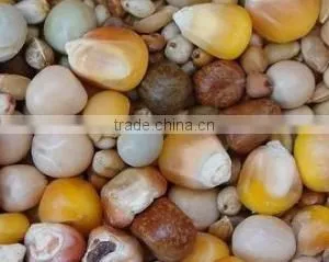 Build Factory of Poultry Feed Plant