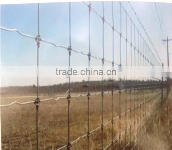 Anping Deming produce crosslock knot Field fence