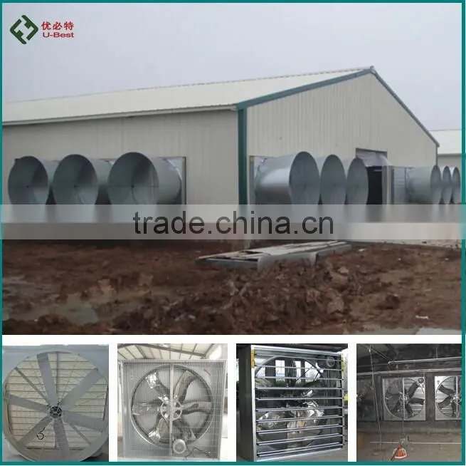 Automatic broiler chicken farming equipment