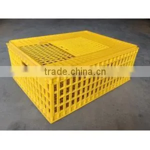 100% PE material folding live chicken cage to transport/poultry transport cage HJ-DN015