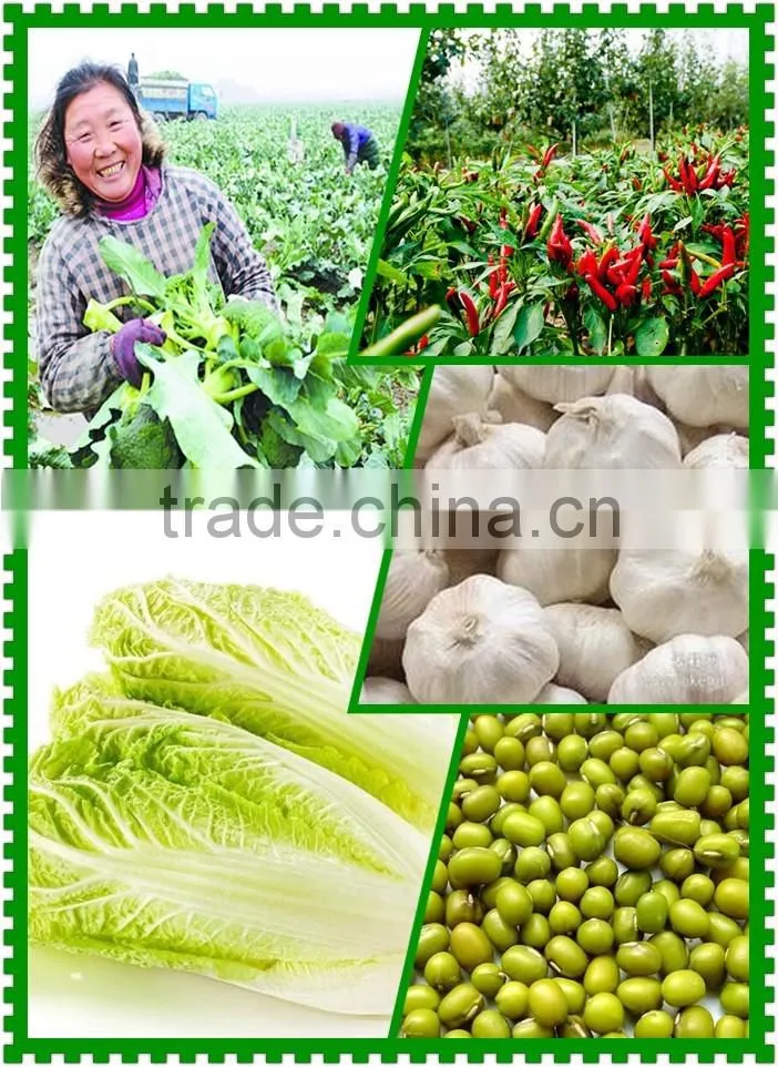 Wholesale Manual vegetable seeding machine