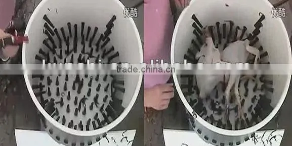 chicken plucking machine with ISO9001 for sale
