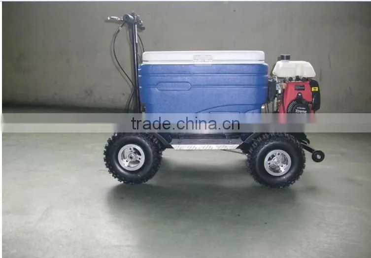 43cc EPA approved gasoline refrigerator scooter/cooler box scooter for adult (TKS-S43)