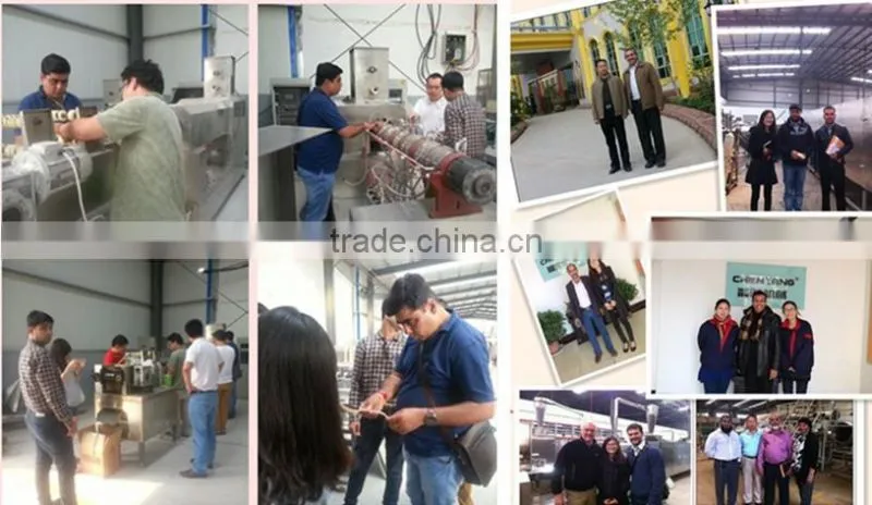 Mini hot sell High quality automatic instant noodle making machine