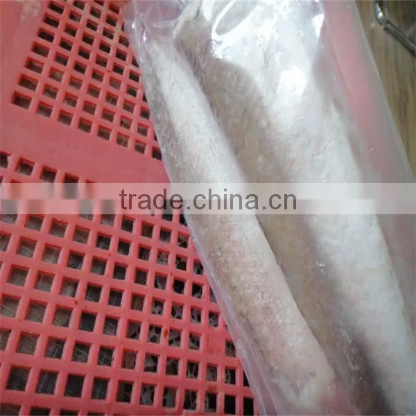 frozen cleaning sea fish suppliers