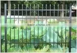 Aluminium Garden fence