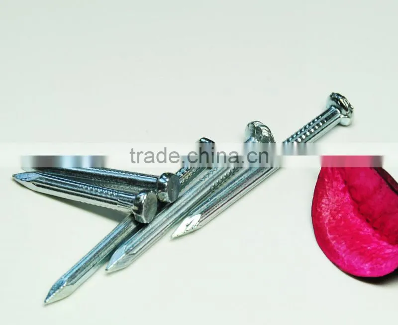 galvanized twisted/spiral shank steel concrete nails