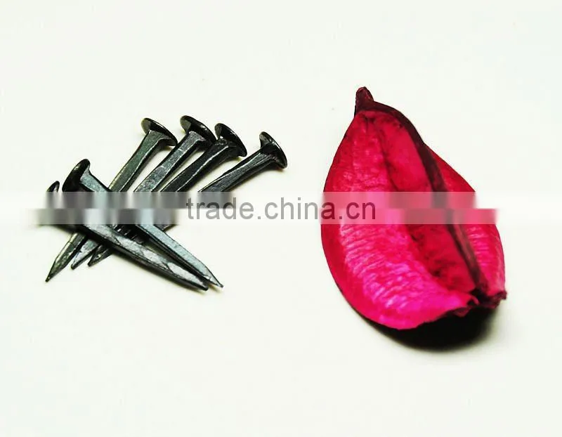 shoe tacks in hardware