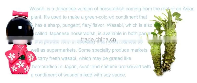 KINGZEST Tube / box 43g Japanese Sushi Sauce Wasabi Paste