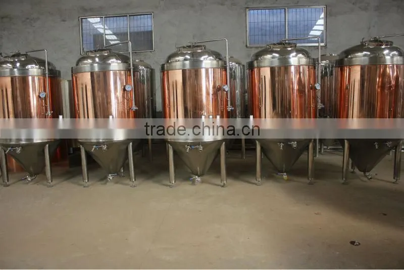 stainless steel home brew beer fermenter/beer fermenting tank/beer brewing fermenting equipment/beer equipment