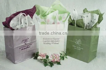 2011 Simple Shoes Paper Bag