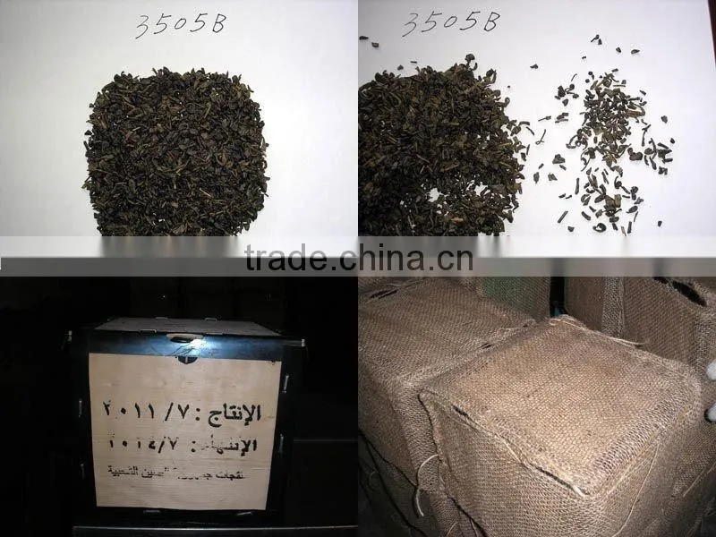 Chinese green tea GUNPOWDER 3505