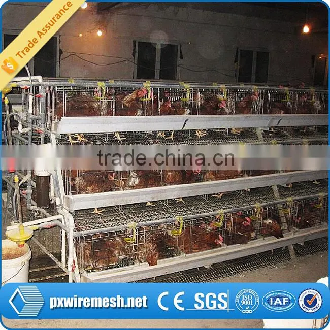 poultry chicken house/ coop for chicken