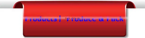 washable lint removing roller