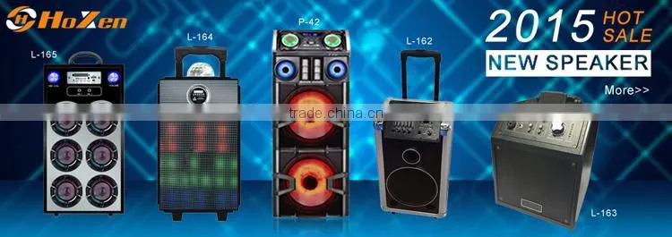 audio subwoofer sound system,car audio subwoofer
