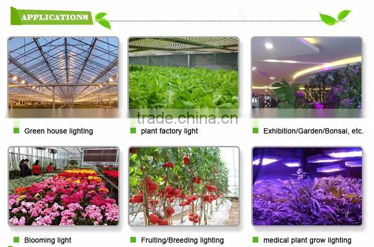 Noah 6s LED Grow Light