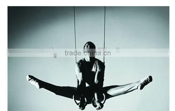 Wood Rings Swing