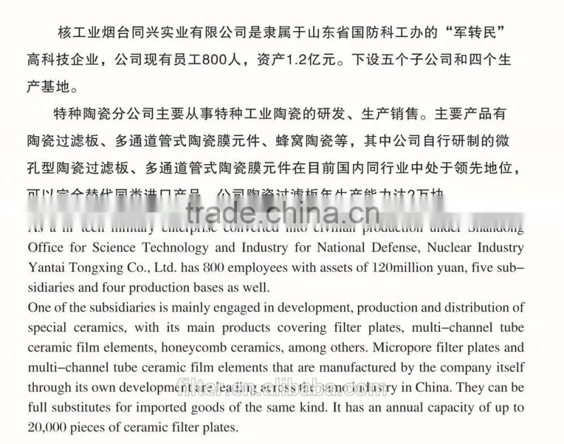 ceramic plate, Ceramic filter,ceramic vacuum filter