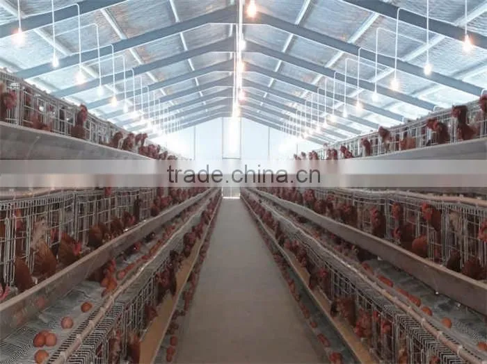 Modern Long Pan Prefabricated steel structure building