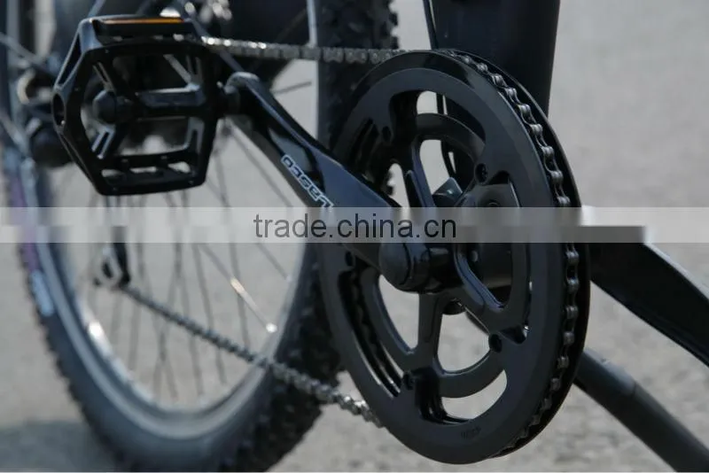 Seagull -China factory unique design EN14764 Bicycle e-bike middle motor