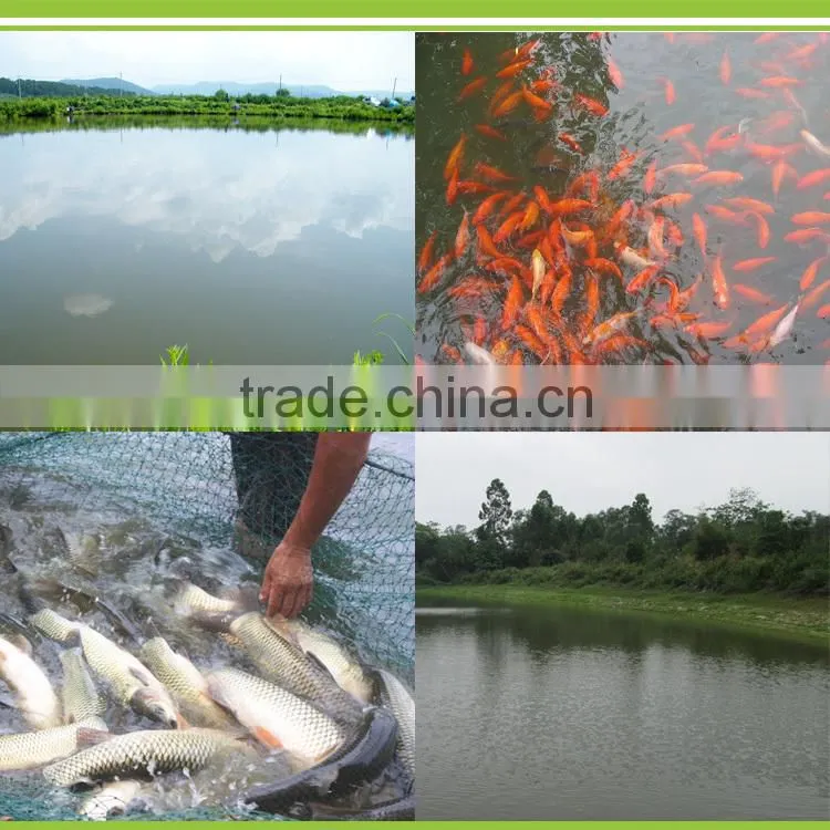 CHONGKEXING Kill insect in water aquaculture USE insecticide & disease prevention