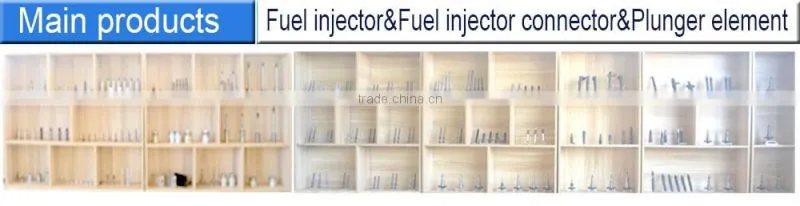 2418 455 732 diesel injection pump Plunger Barrel element