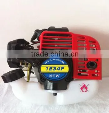 Knapsack Gaoline Power Sprayer 2/4-Stroke 900Tank