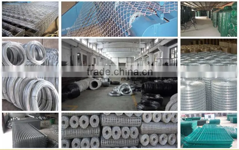 electrode tantalum wire mesh