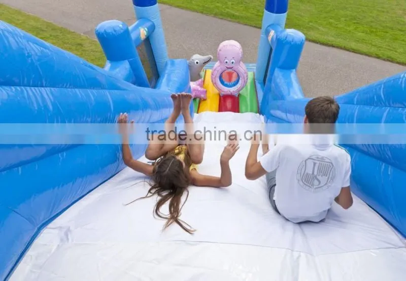 inflatable dry slide for sale, cheap price inflatable slide